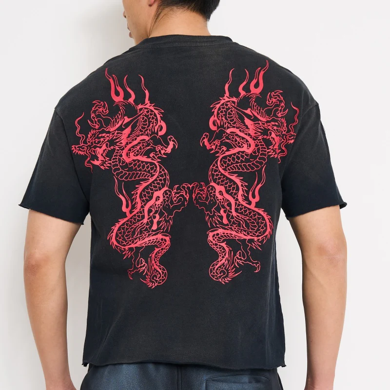 Mary Dragons Boxy Cropped Tee
