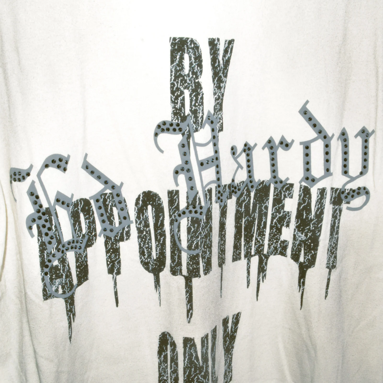 Panther Wings Boxy Tee