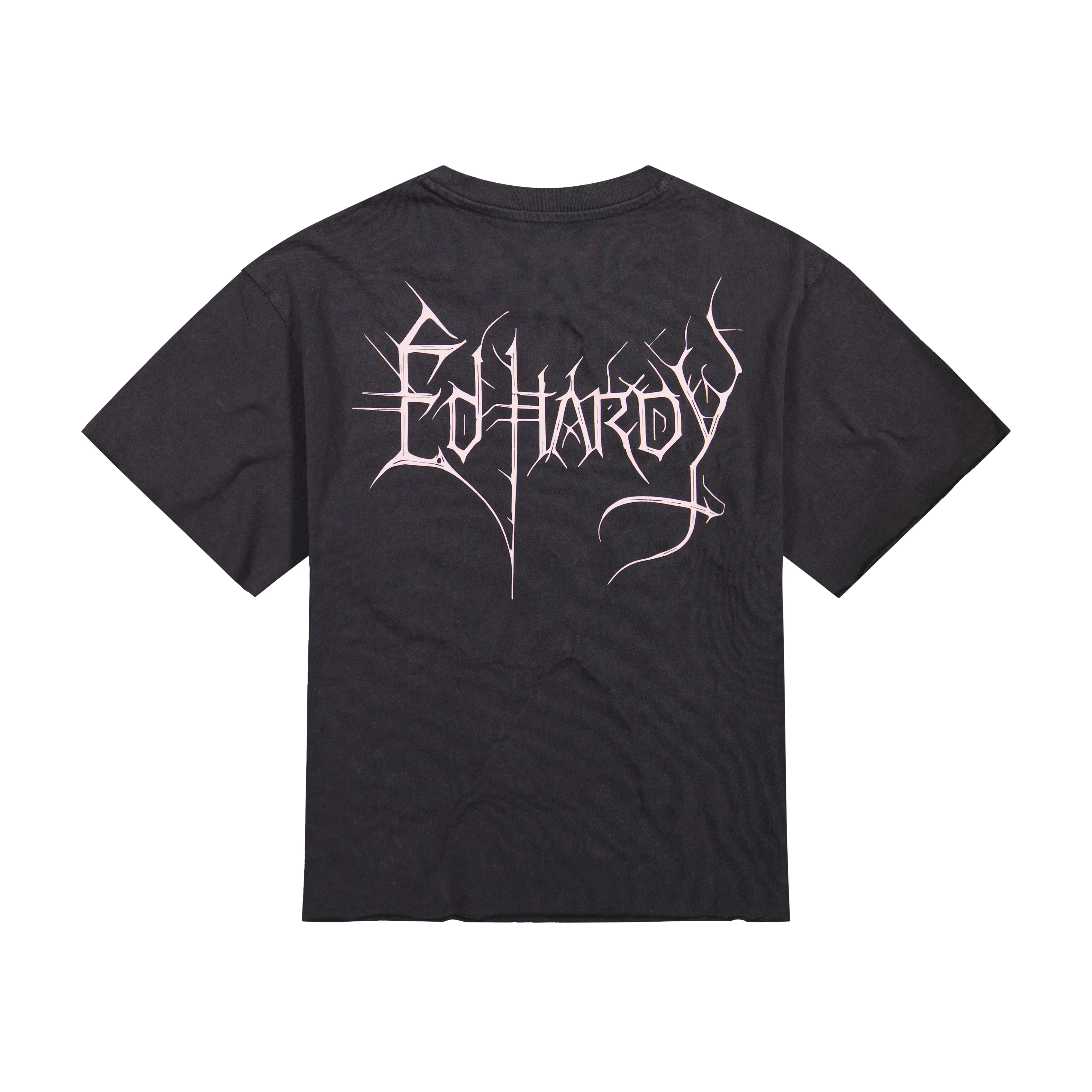 Spider Skull Boxy Cropped Tee